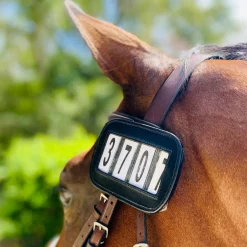 Ace Equestrian Number Holder - Pack of 2