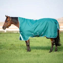 Horseware Ireland Amigo Bravo 12 Wug Medium Turnout Blanket 250 g