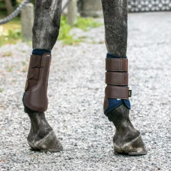 Back on Track Airflow Brush Boots