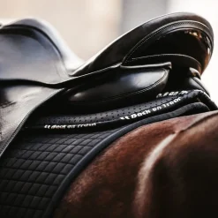 Back on Track Aurora Half Pad