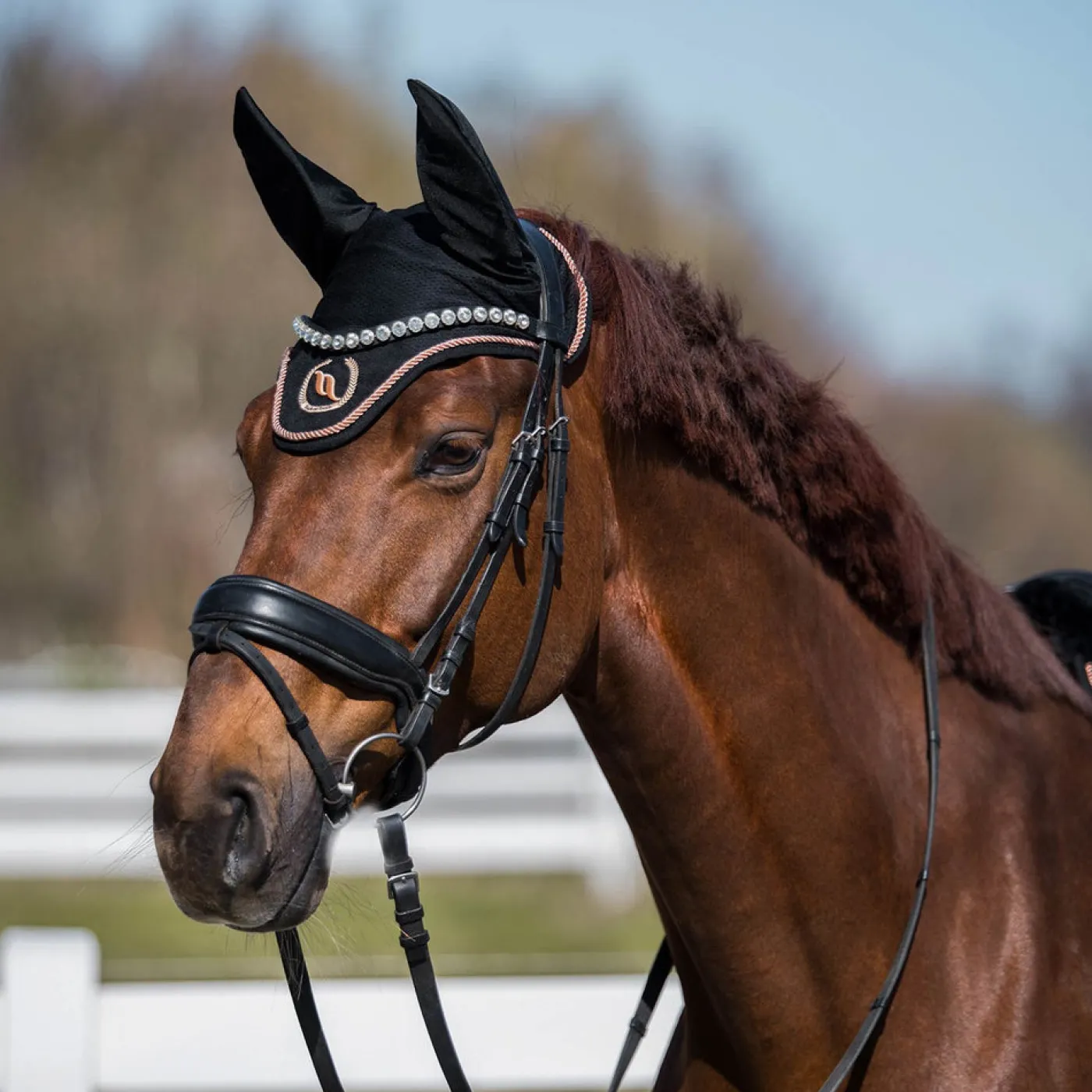 Back on Track Haze Collection Fly Veil