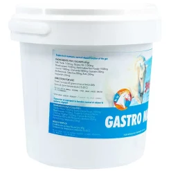 Basic Equine Nutrition GastroMax 1 kg