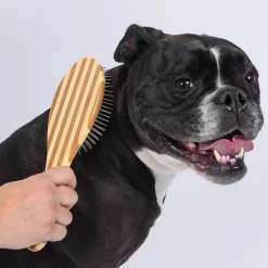 Bass Brushes Bass Hybrid Groomer