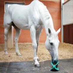 Bizzy Horse Bizzy Lick Apple Horse Treat 1 kg