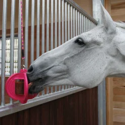 Bizzy Horse Bizzy Lick Apple Horse Treat 1 kg