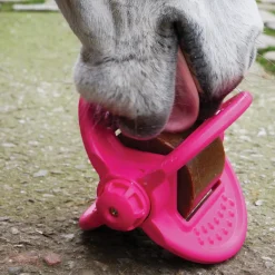 Bizzy Horse Bizzy Lick Apple Horse Treat 1 kg