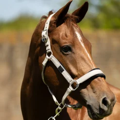 BR Halter Eline Mesh