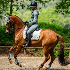 BR Equestrian Equipment BR Igmar Tendon Boots