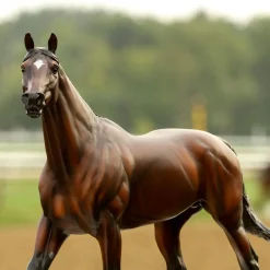 Breyer Traditional Cody's Wish