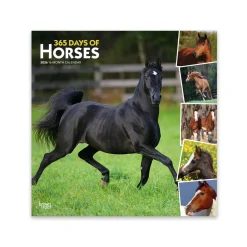 BrownTrout Publishers BrownTrout 365 Days of Horses 2026 Square Calendar