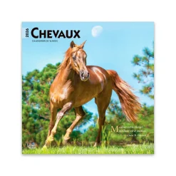 BrownTrout Publishers BrownTrout Chevaux 2026 Square Calendar