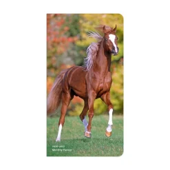 BrownTrout Publishers BrownTrout Horse Lovers 2026 Pocket Planner