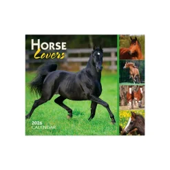 BrownTrout Publishers BrownTrout Horse Lovers 2026 Box Calendar