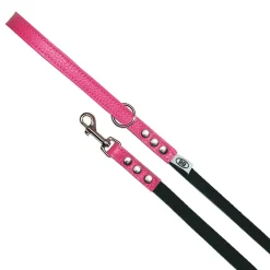 Buddy Belts Buddy Belt Accent Leather & Nylon Leash 1.3 cm x 1.2 m