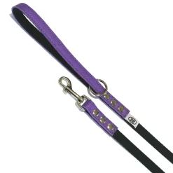 Buddy Belts Buddy Belt Accent Leather & Nylon Leash 1.3 cm x 1.2 m