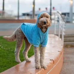 Canada Pooch Beach Bum Towel Hoodie