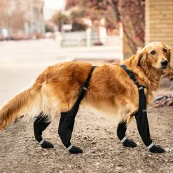 Canada Pooch Suspender Boots - Size 2