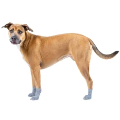 Canada Pooch The Basics Dog Socks