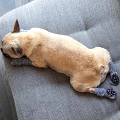 Canada Pooch The Basics Dog Socks