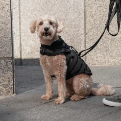 Canada Pooch The Harness Puffer