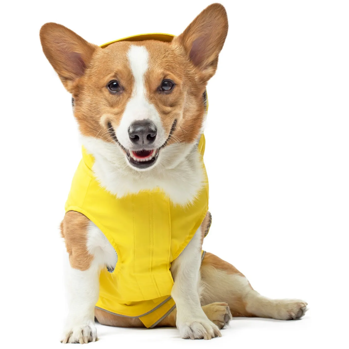 Canada Pooch Torrential Tracker Dog Jacket