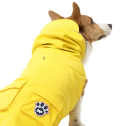 Canada Pooch Torrential Tracker Dog Jacket