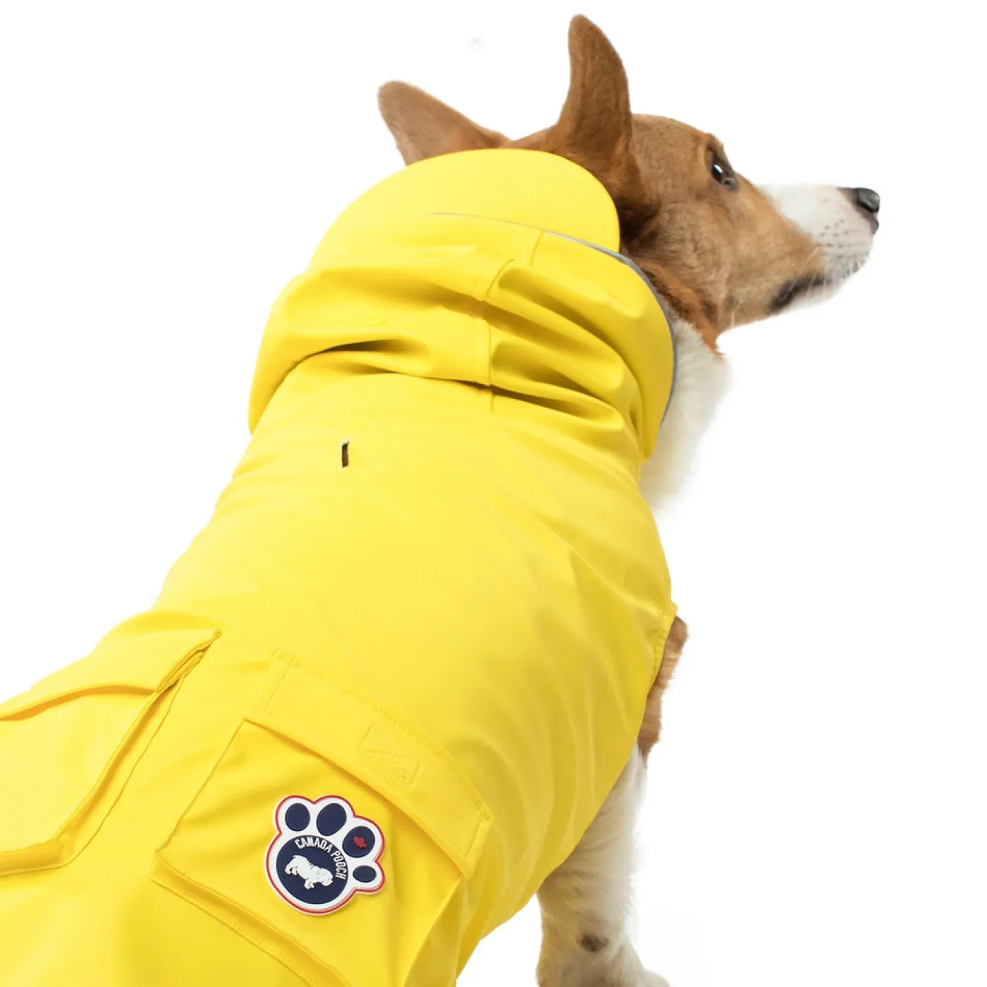 Canada Pooch Torrential Tracker Dog Jacket