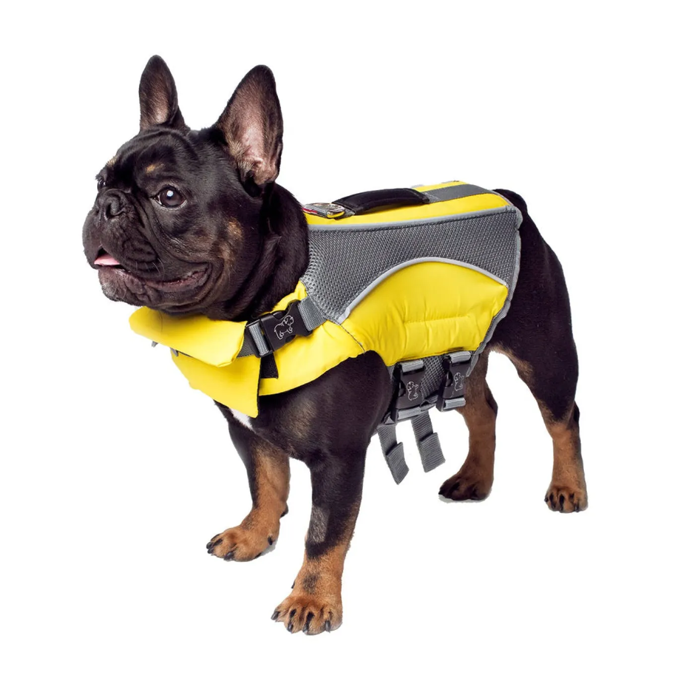 Canada Pooch Wave Rider Dog Life Vest