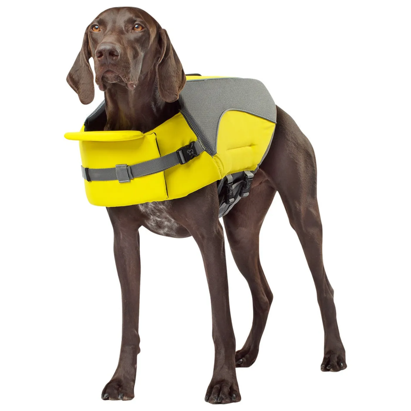 Canada Pooch Wave Rider Dog Life Vest