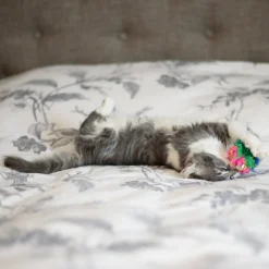 Greenhawk Equestrian Sport Cancor Innovations Crinkle Ball Cat Toy 6 cm