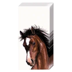 Greenhawk Equestrian Sport Carsim Amy & Lucy White 4 Ply Pocket Tissues