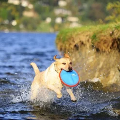 Chuck It Chuckit! Flyers Paraflight Dog Toy