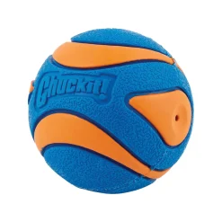 Chuck It Chuckit! Ultra Squeaker Ball Medium