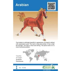 Breyer CollectA Horse Surprise Bag