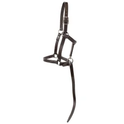 Connemara Foal Halter W/ Catch Strap
