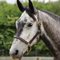 Connemara Leather Halter