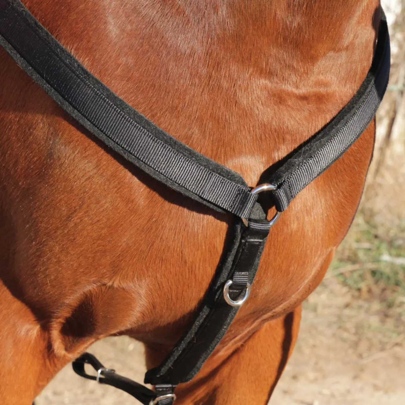 Copper Canyon Felt Lined Breast Collar