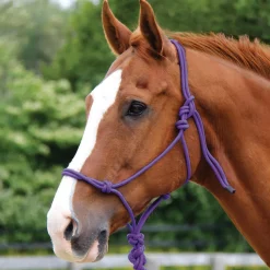 Copper Canyon Rope Halter W/ Lead