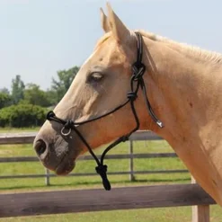 Copper Canyon Side Pull Rope Halter