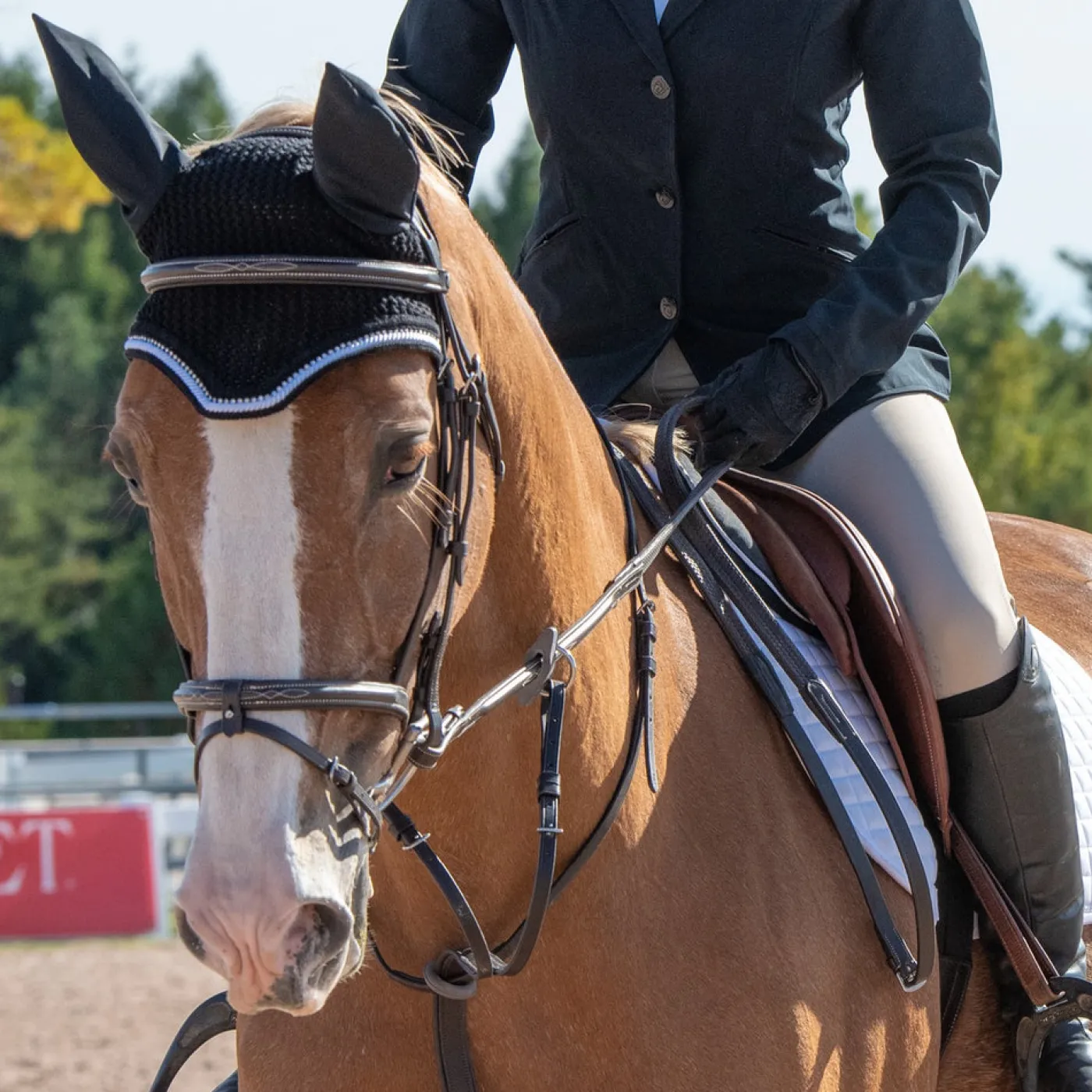 Elation Platinum Ellis Breech