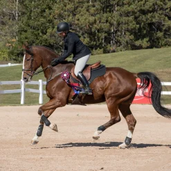 Elation Platinum Terano Half Grip Breech