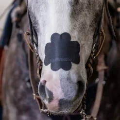 Equibreathe Nasal Patch