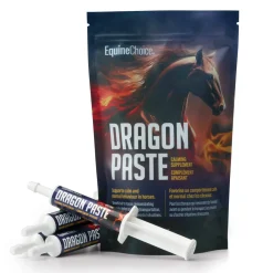 Equine Choice Dragon Paste 30 mL - Pack of 4
