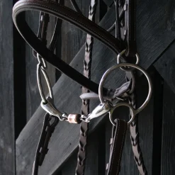 EvoEq Two Ring Precision Bit W/ Roller