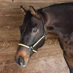 Greenhawk Equestrian Sport Extreme Two Tone Nylon Halter