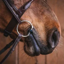 Fager Bits Fager Oscar Titanium Double-Jointed Eggbutt Bit