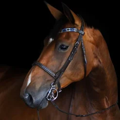 Fager Bits Fager Sally Titanium Low Port Copper Roller Kimblehook Bit