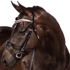 Flexible Fit Equestrian FFE Split Wave Dressage Snaffle Bridle