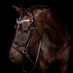 Flexible Fit Equestrian FFE Split Wave Dressage Snaffle Bridle