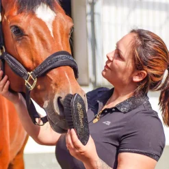 Haas Diamond Noir Brush